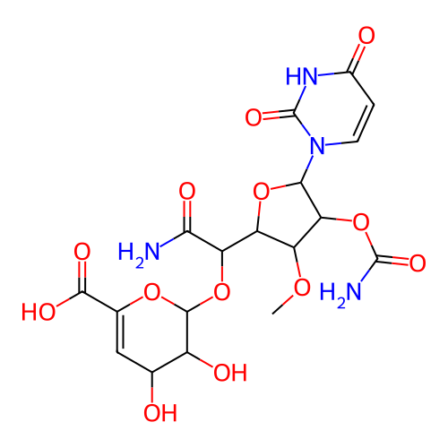 Image structure