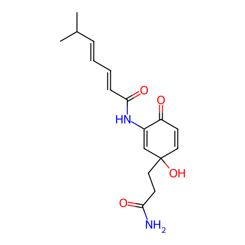 Image structure